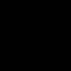 Meet your Posher, Elaine